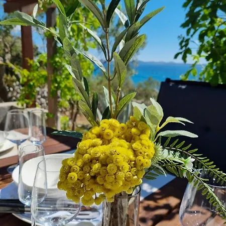 Vakantiehuis Orkula Hidden Paradise- Robinson House *