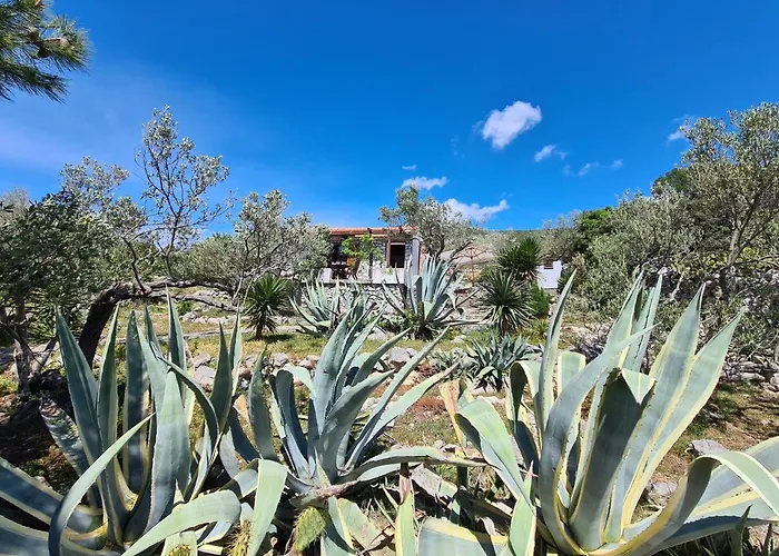 Orkula Hidden Paradise- Robinson House 度假居 *