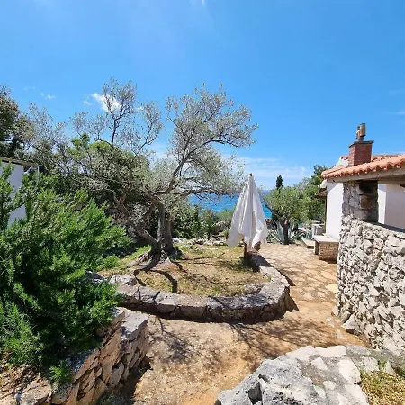 Orkula Hidden Paradise- Robinson House Banj