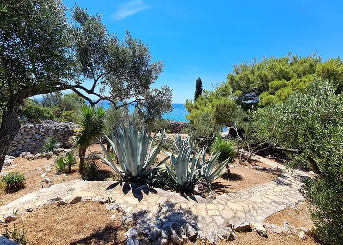 Orkula Hidden Paradise- Robinson House Casa vacanze *